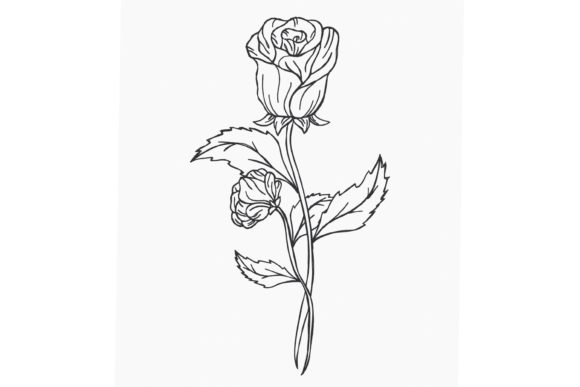 A Red Rose: A Designer's Review for Small Business Merch